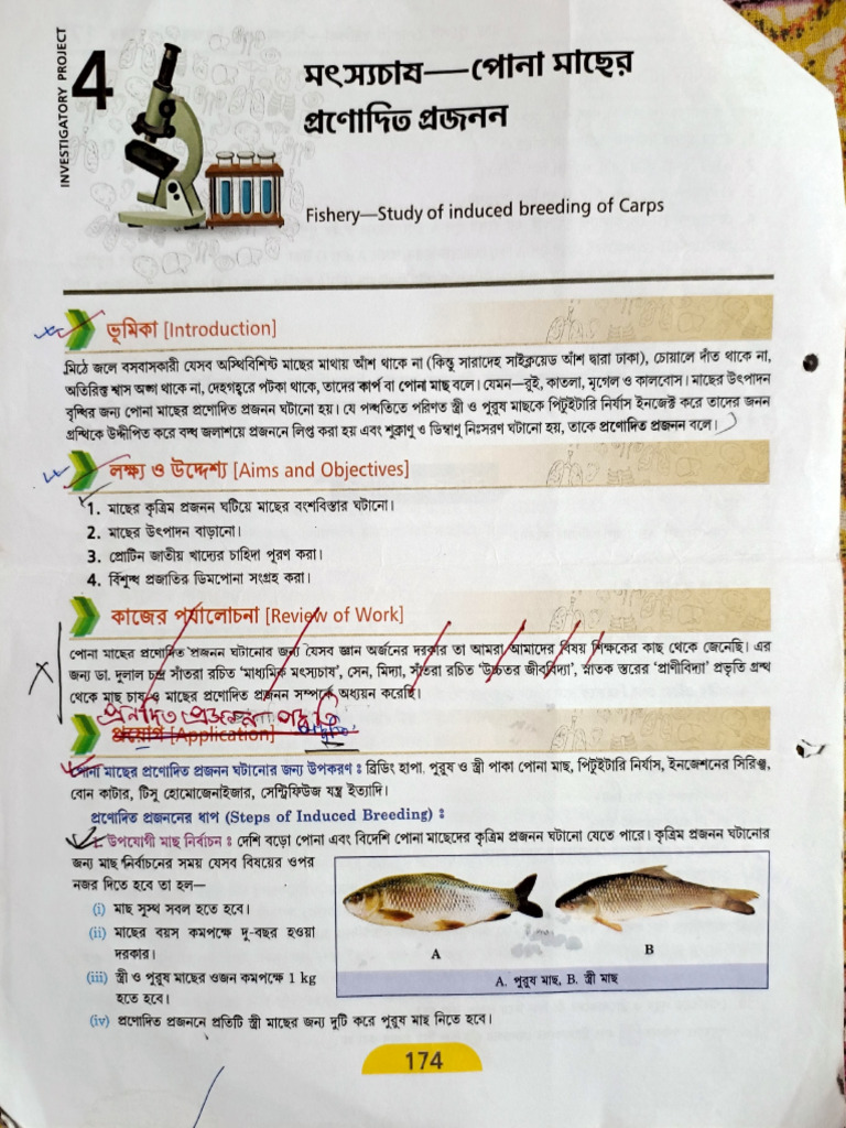Project Induced Breeding Class XII | PDF