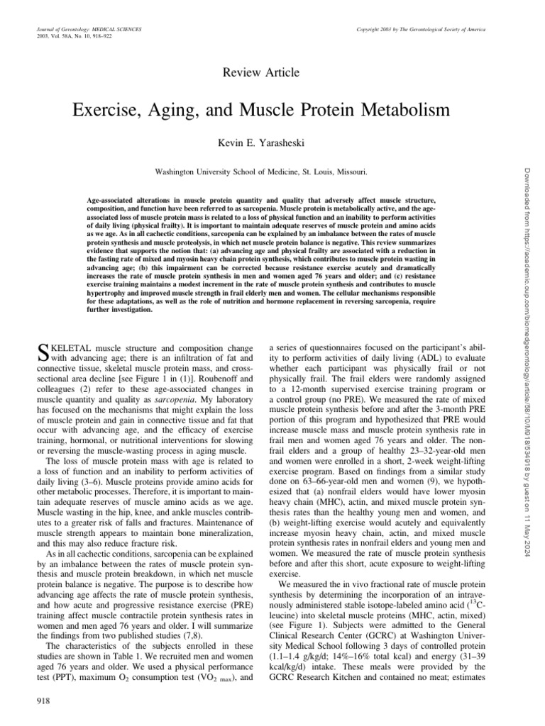 Exercise, Aging, and Muscle Protein Metabolism | PDF