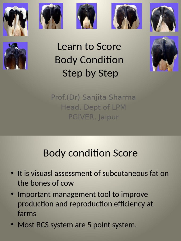 Body Confirmation | PDF