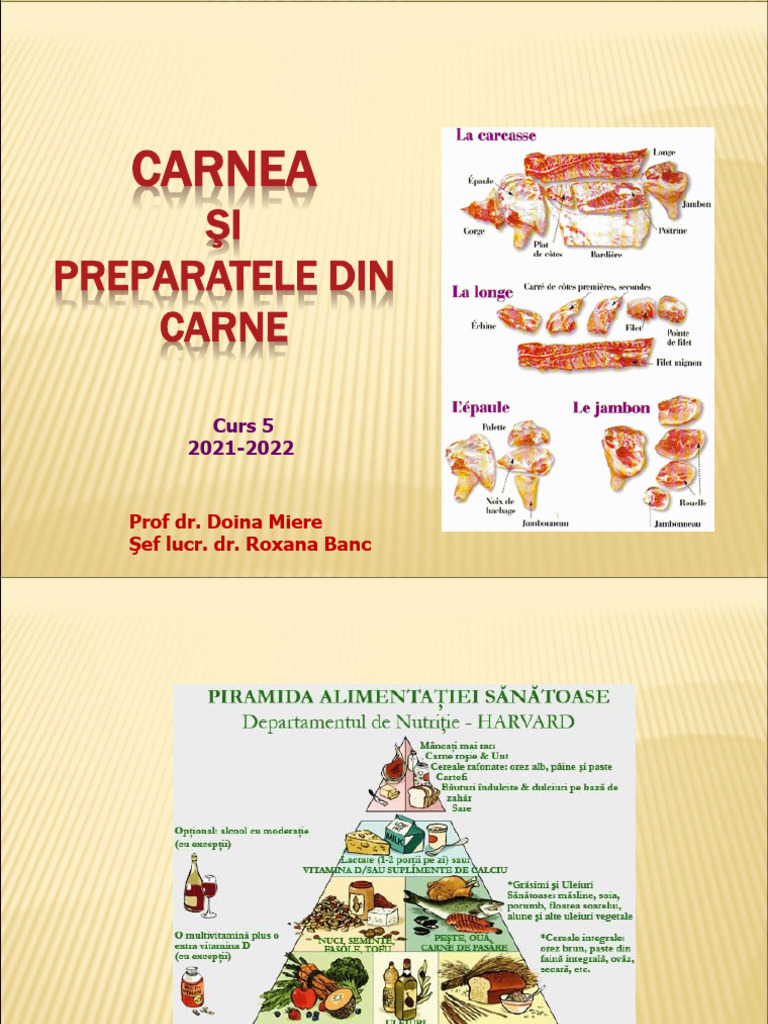CA 2 - Curs 5 Carne, 2021-2022 | PDF