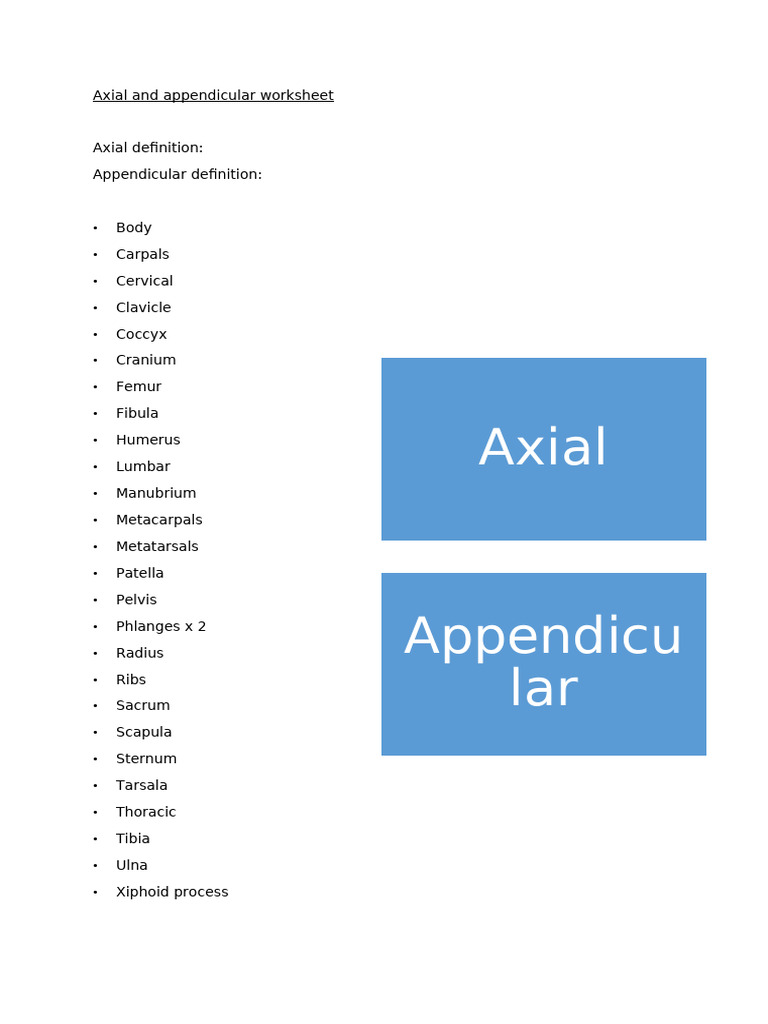 Axial and Appendicular Worksheet | PDF