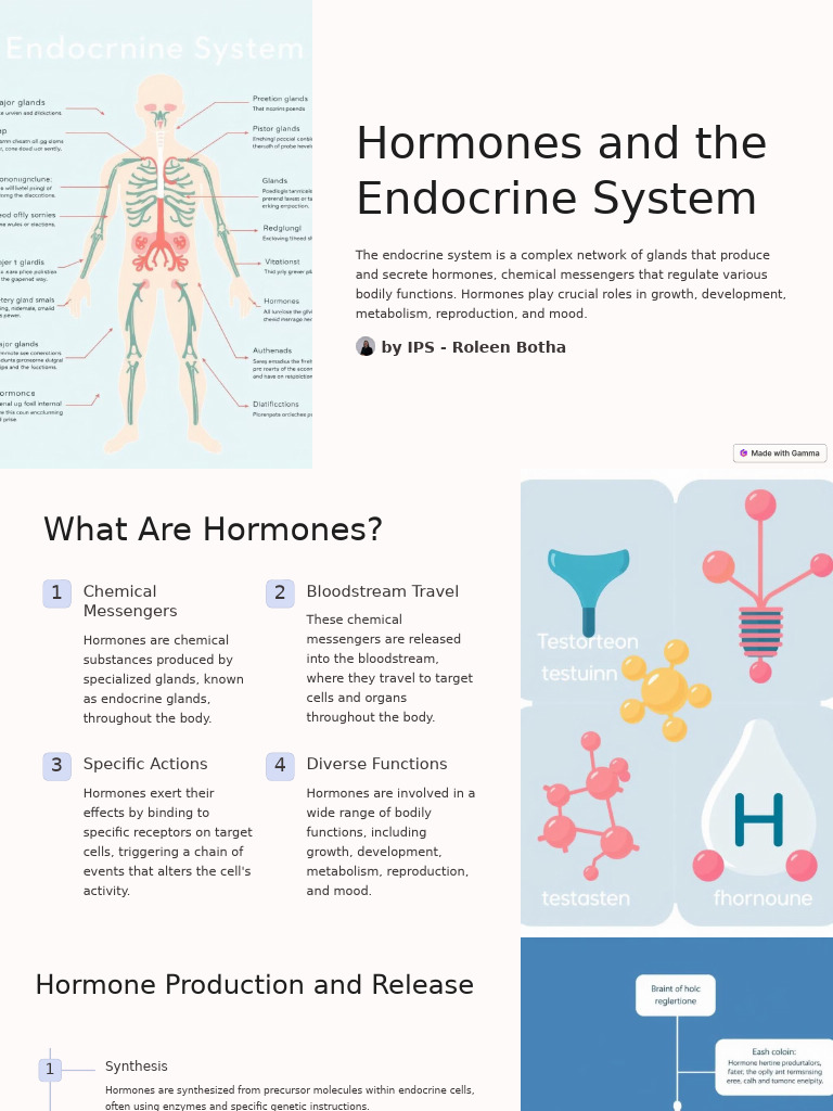 Hormones and The Endocrine System | PDF