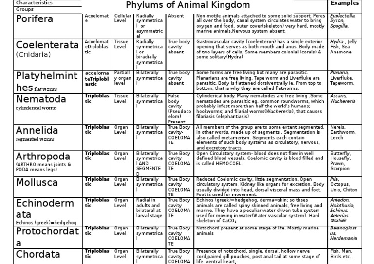 Overview of Animal Kingdom Phyla | PDF | Nematode | Mollusca