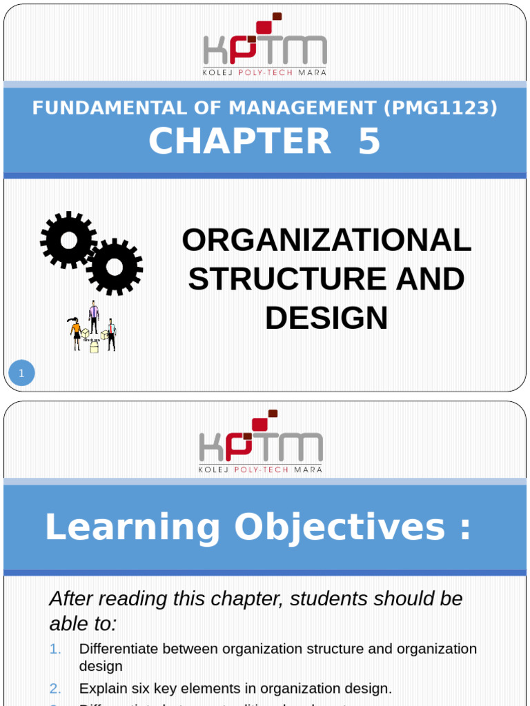 Chapter 5 - Organizational Structure and Design | PDF