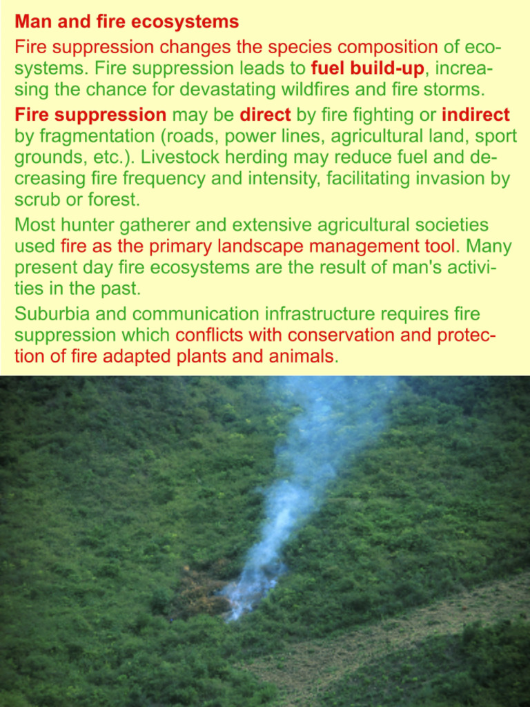 Fire Control-3 | PDF