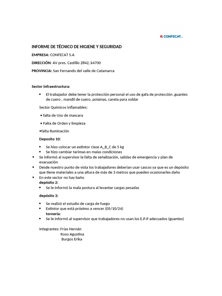 Informe de Técnico de Higiene y Seguridad | PDF