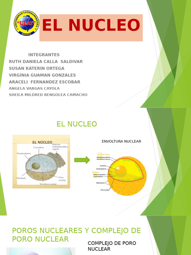 NUCLEO (2) Updated | PDF