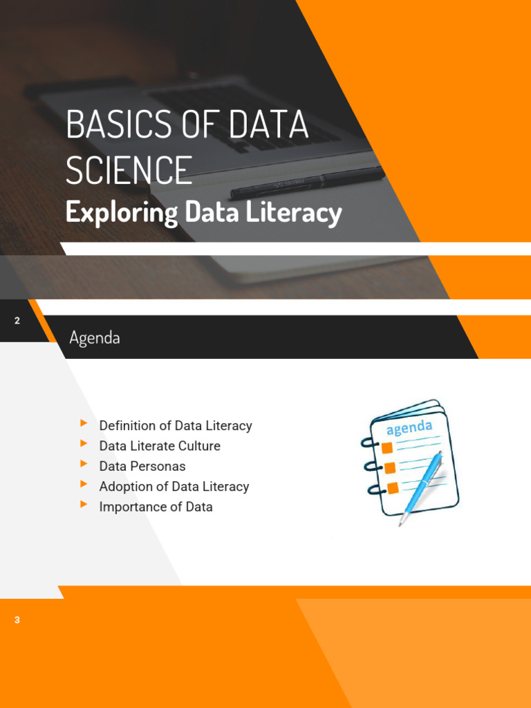 Exploring Data Literacy | PDF
