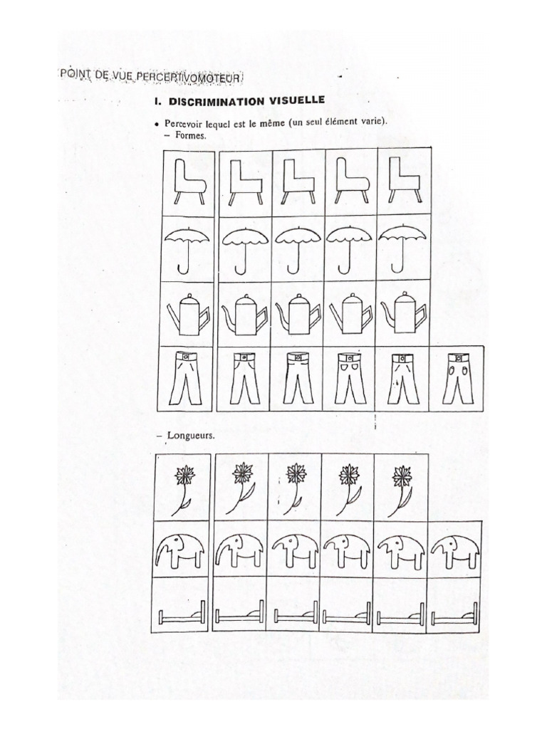 I. Discrimination Visuelle | PDF