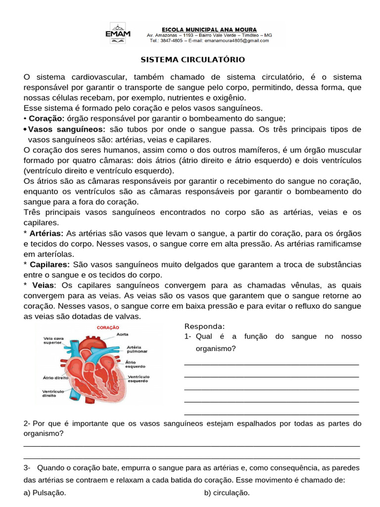 Explicação e Atividade - Sistema Circulatório e Excretor 5 Ano | PDF