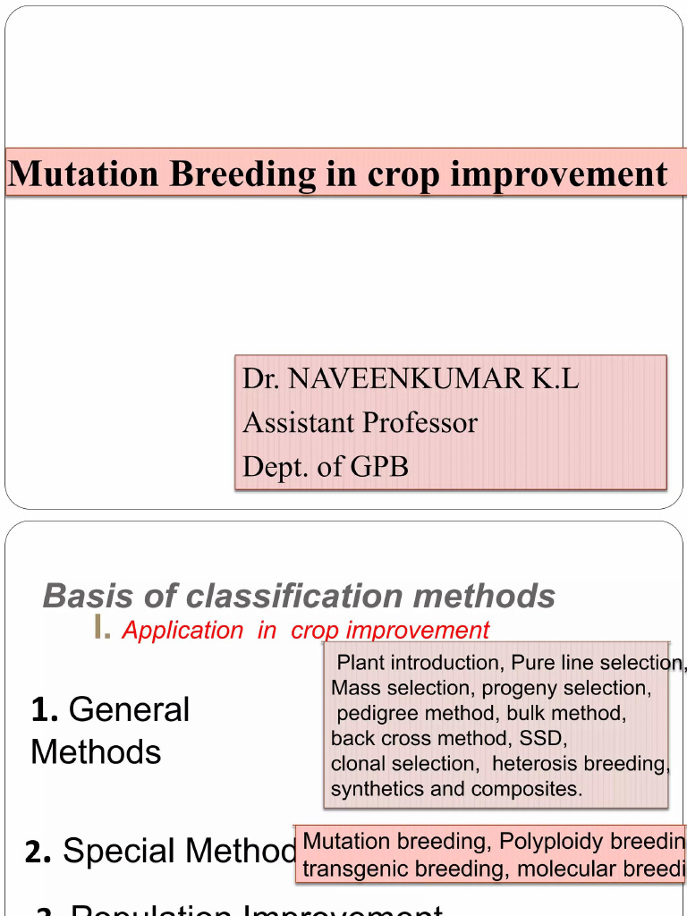 Mutation Breeding in Crop Improvement | PDF