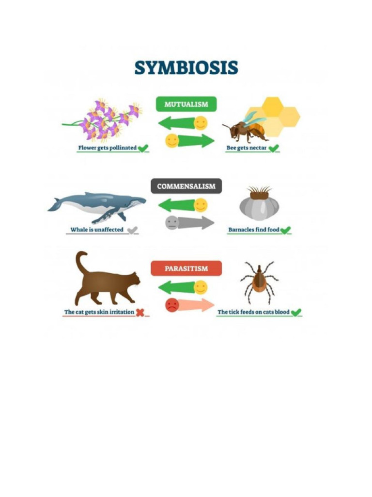 Simbiosis Pdf