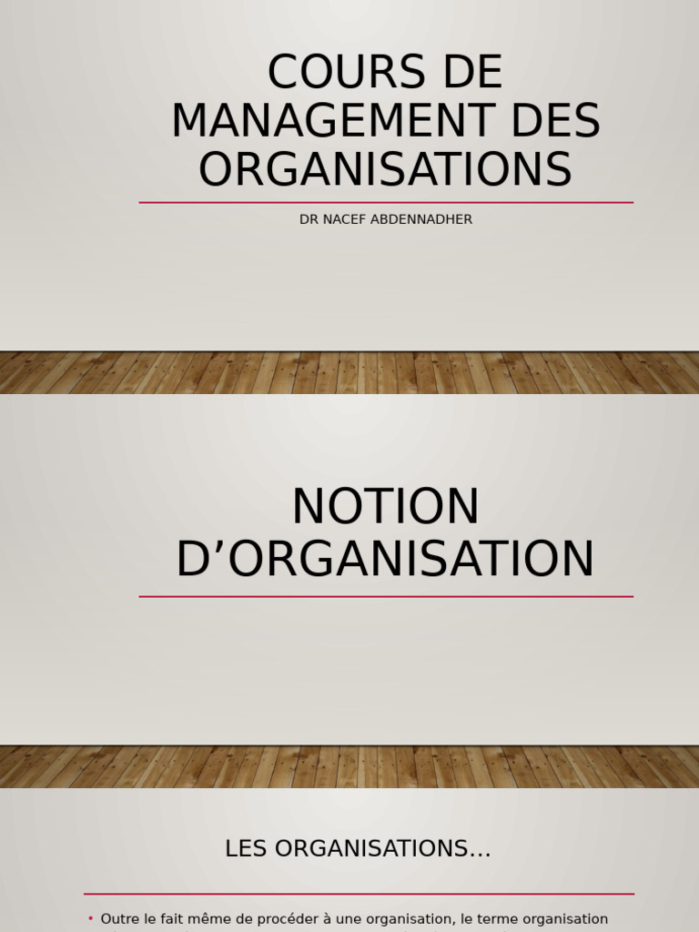 Management Des Organisations | PDF