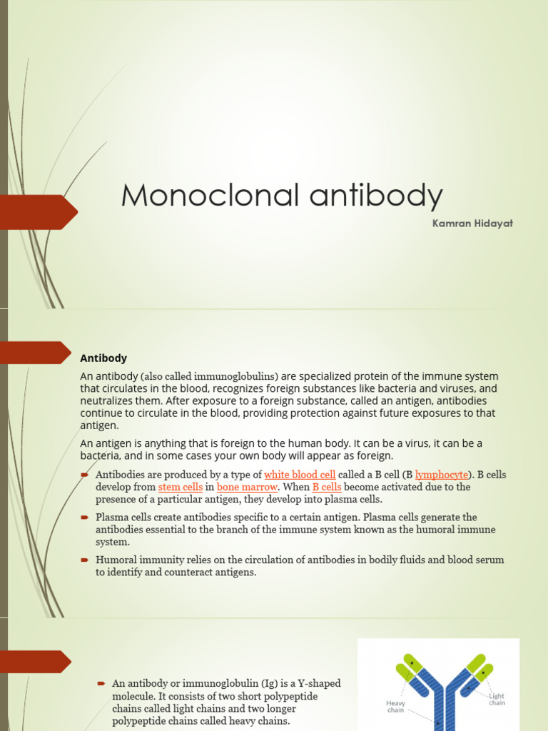 Monoclonal Antibody | PDF