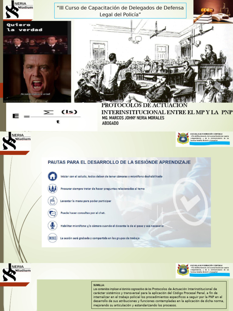 Protocolo De Actuación Mp Pnp X Control De Identidad Pdf