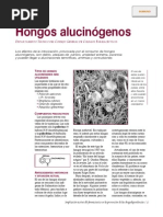 Hongos
