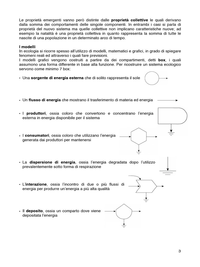 PPT - La fotosintesi clorofilliana PowerPoint Presentation, free download -  ID:5127024, image size:768x1024