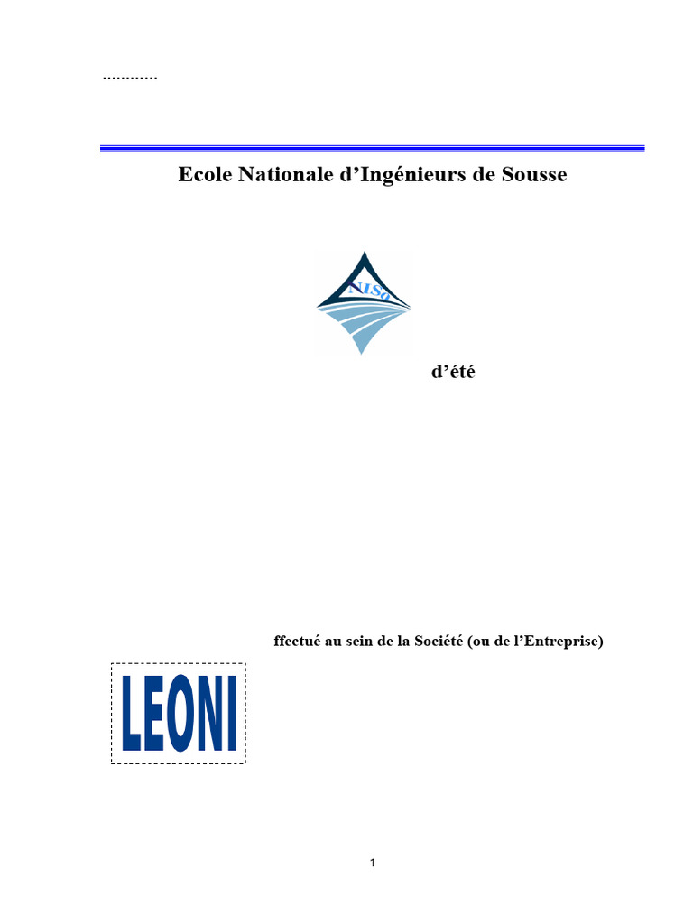 rapport de stage final | PDF