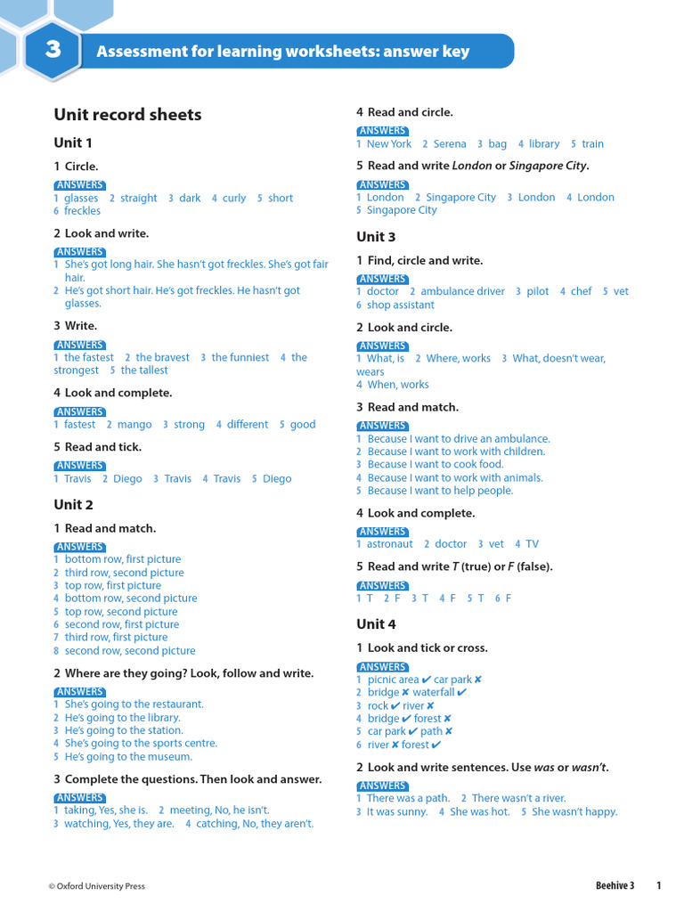 Beehive3 Assessment For Learning Answers | PDF