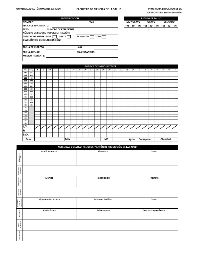 Formato de reg enf estudiantes versi n 1 2 pdf