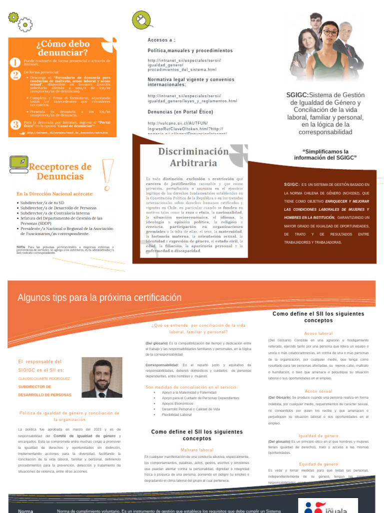 1 Triptico | PDF | Igualdad de género | Estudios de género