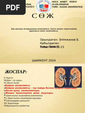 Сиськилердің эротикалық фотосуреттері