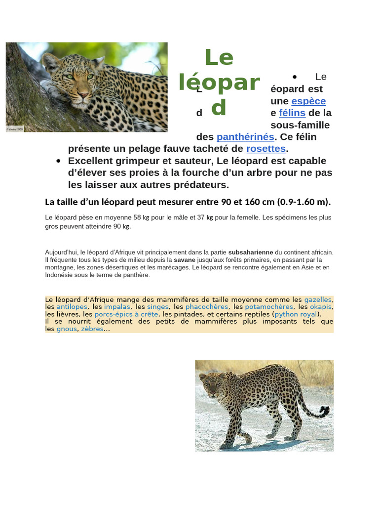 Leopard | PDF