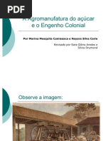 agromanufaturadoacucar