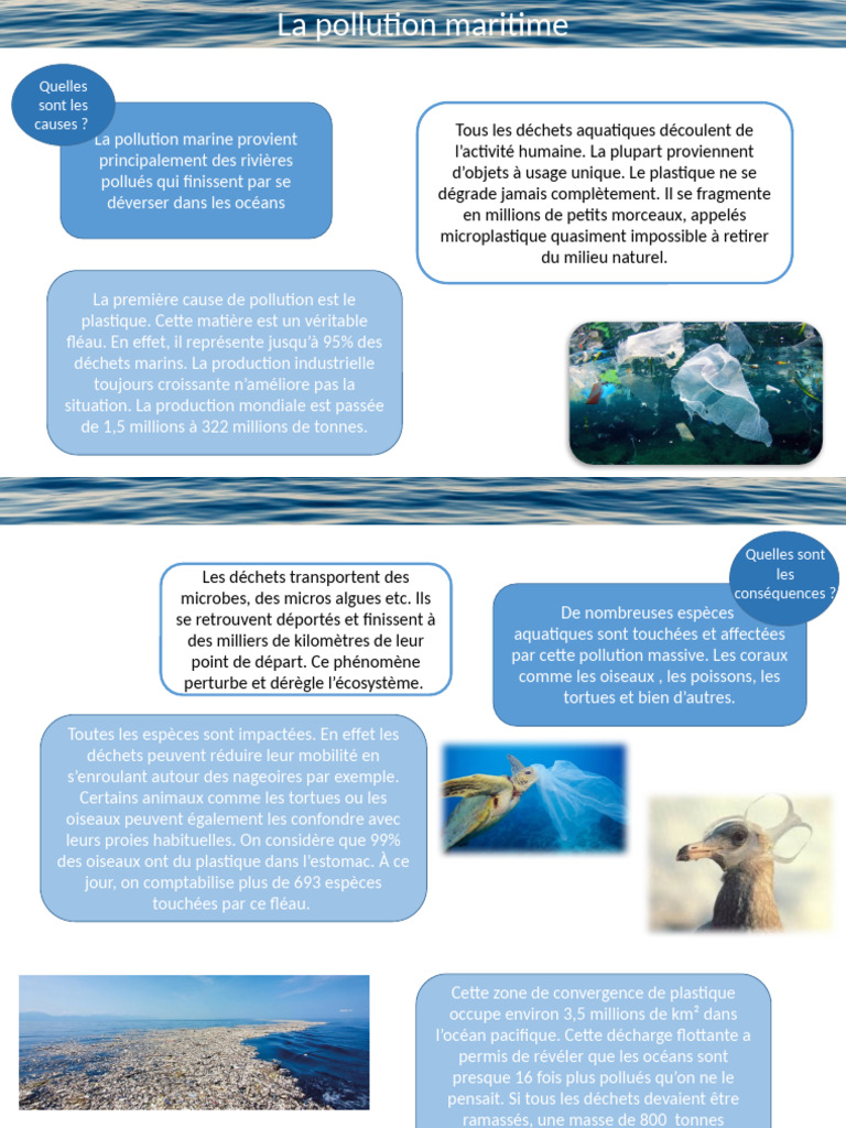 La Pollution Marine | PDF