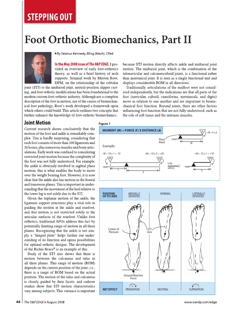 Biomechanics Pt Ii Pdf