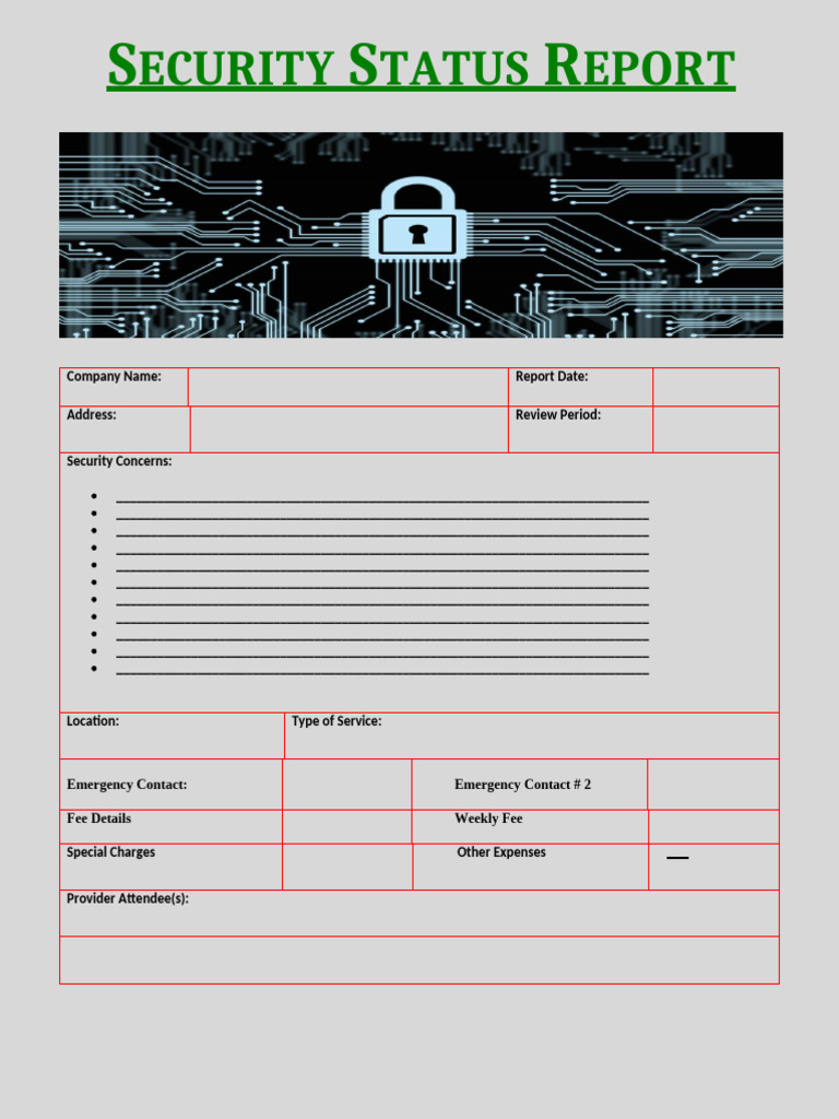 Security Report Template | PDF