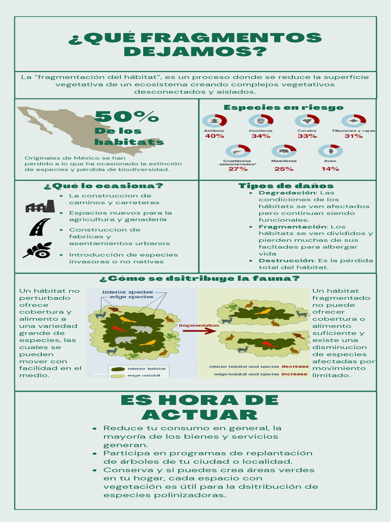 ¿Qué Fragmentos Dejamos | PDF