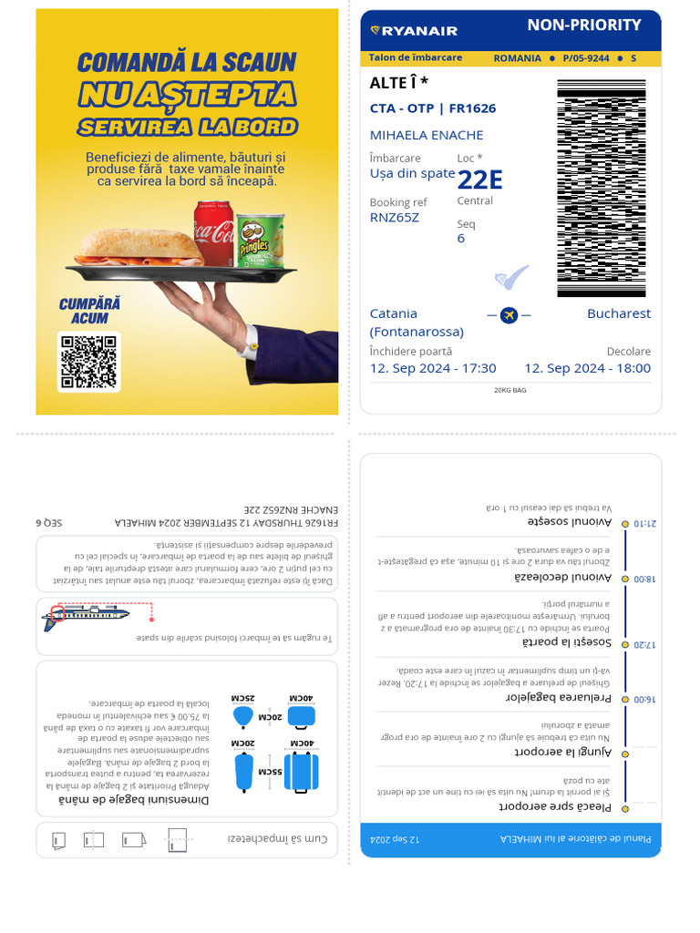 Boarding Pass | PDF