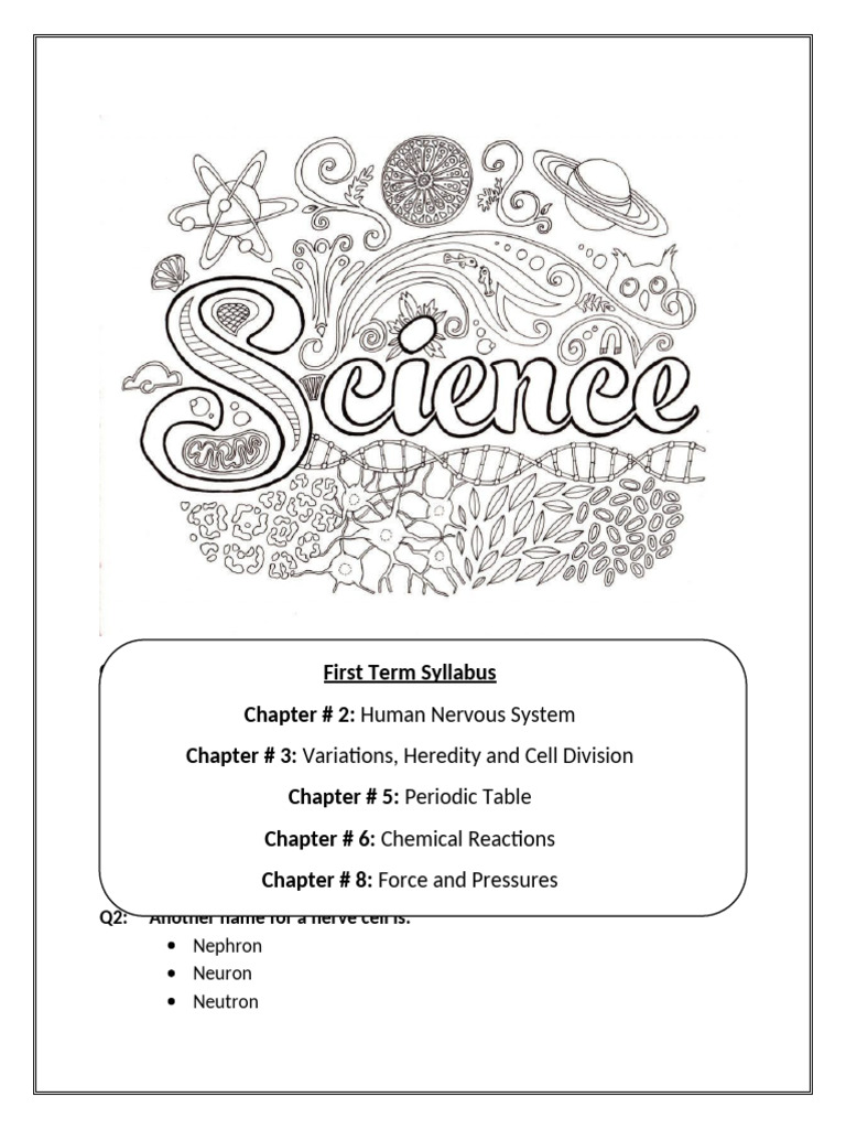 Human Nervous System Overview | PDF | Gene | Wellness