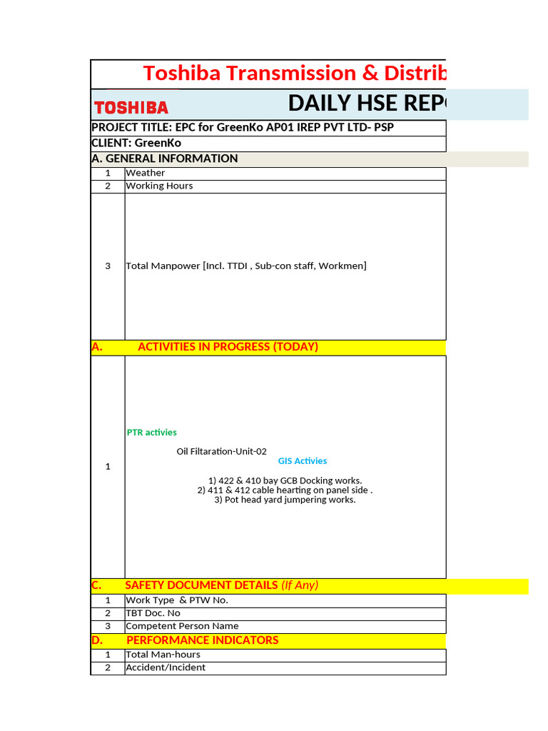 Daily Progress Report - PSP August-2024 | PDF