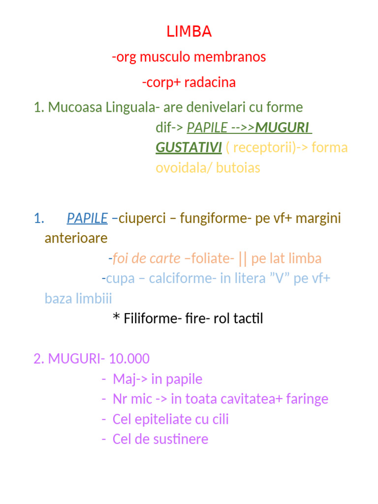 Limba: Structura și Receptori Gustativi | PDF | Language Arts ...