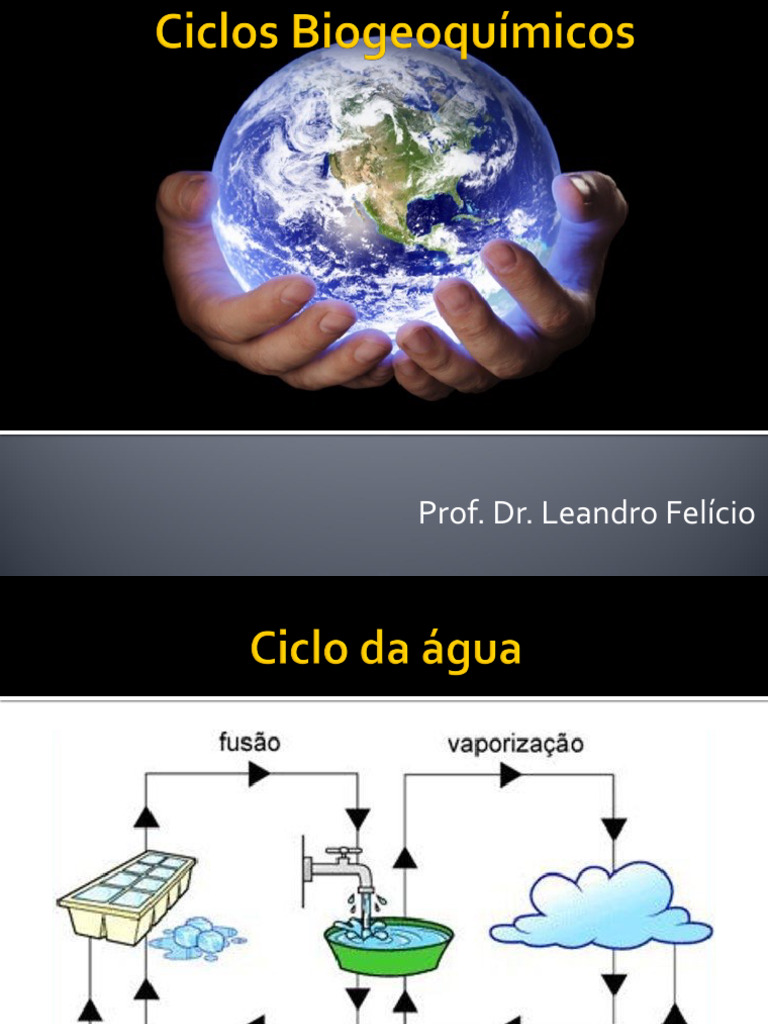 Ciclos Biogeoquímicos | PDF