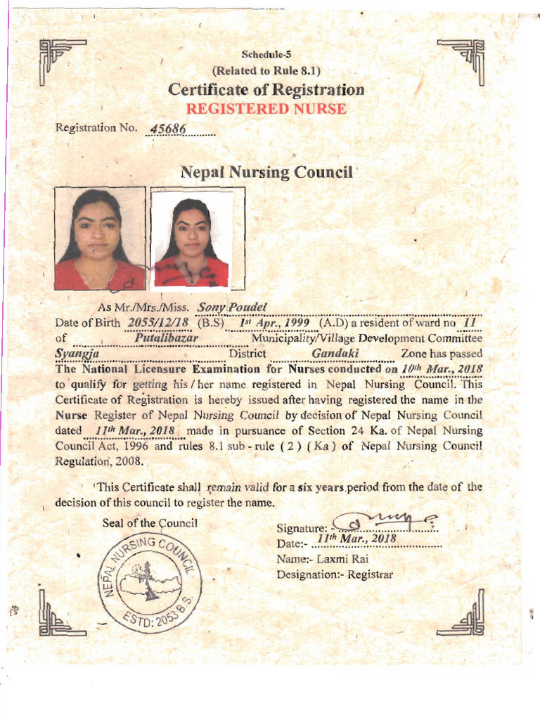 Nursing Licence | PDF