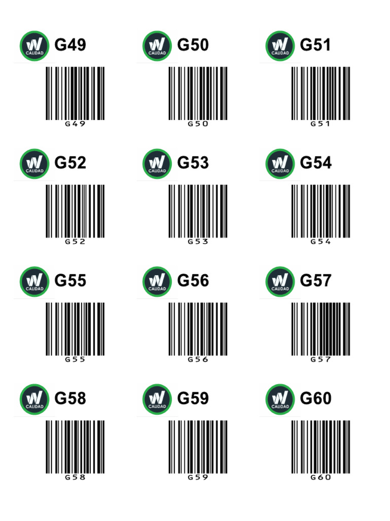 G49 60 | PDF
