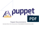 Puppet Puppet