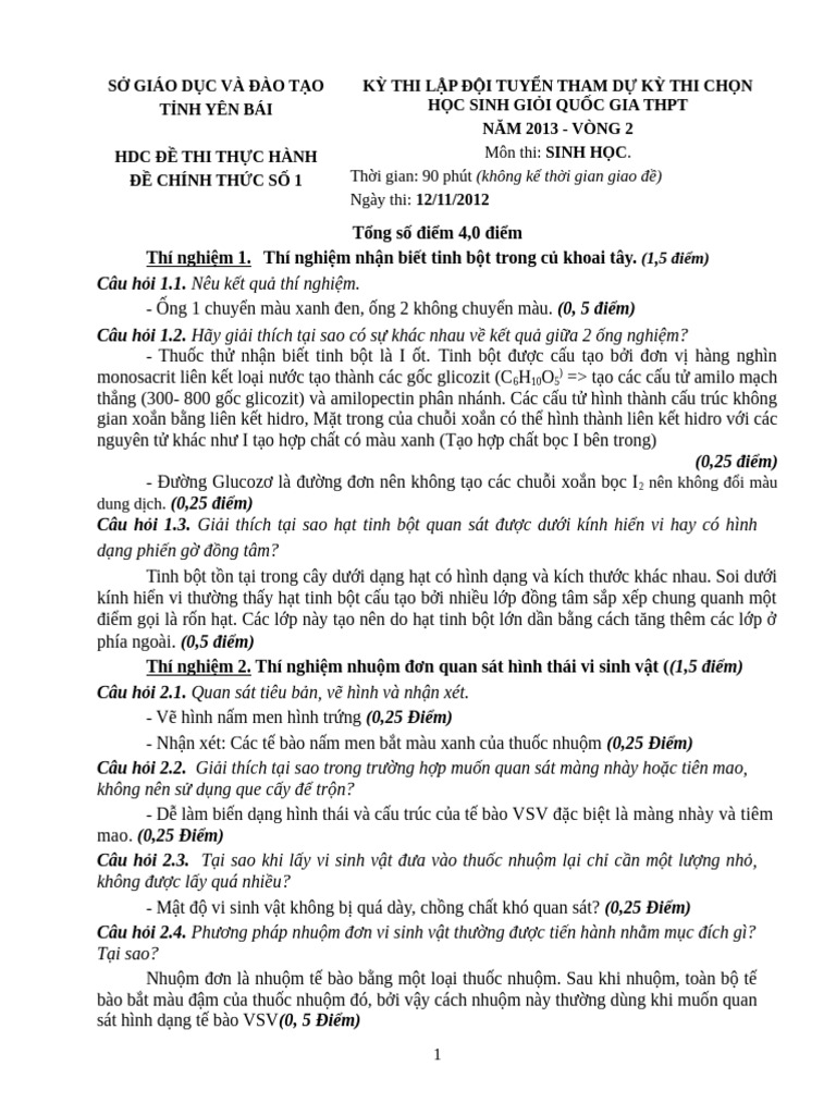 DAP AN de 1 | PDF