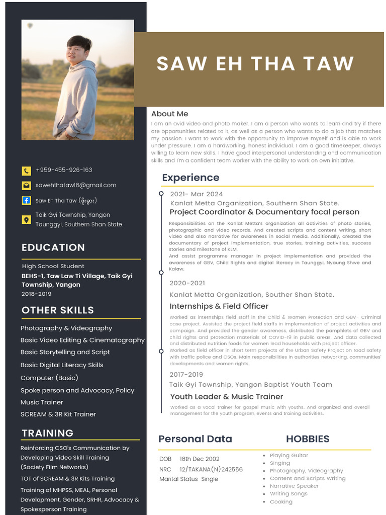 Professional CV Resume - 20240617 - 224921 - 0000 | PDF