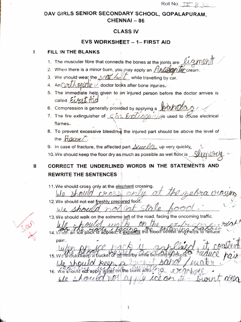 Evs Worksheet And Pt1 Pdf Respiratory System