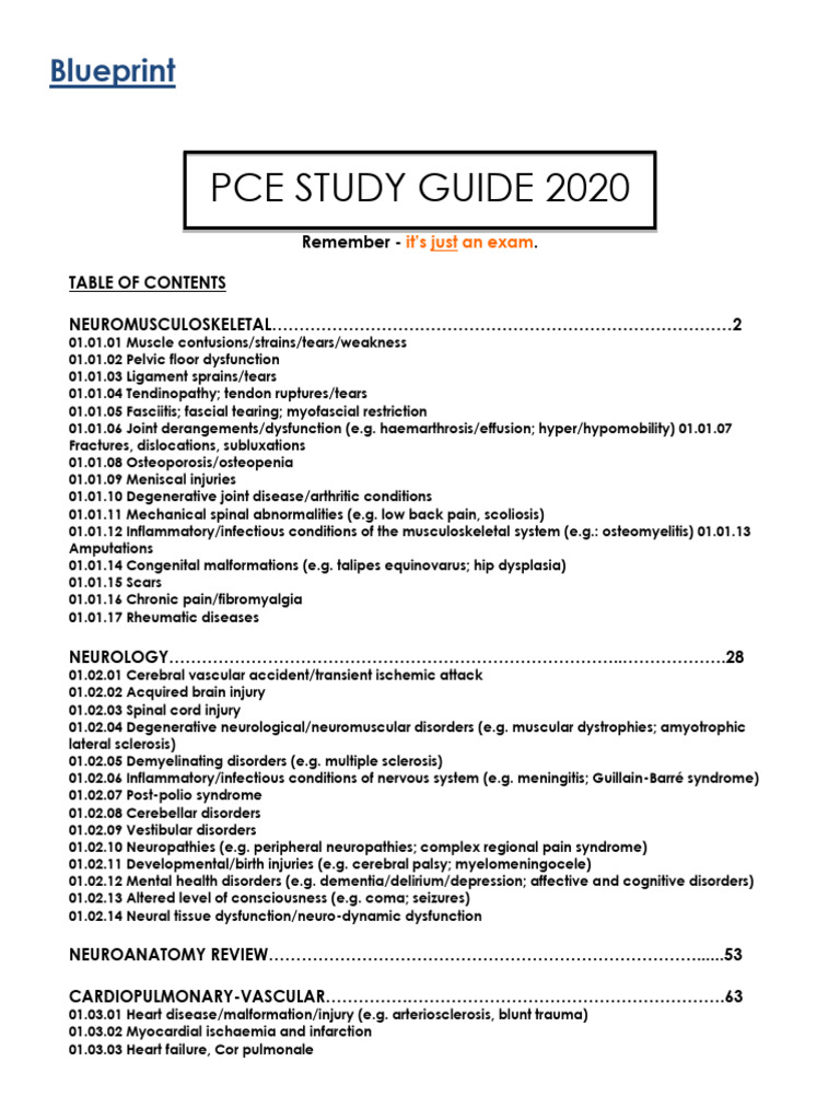 Pce 2020 | PDF