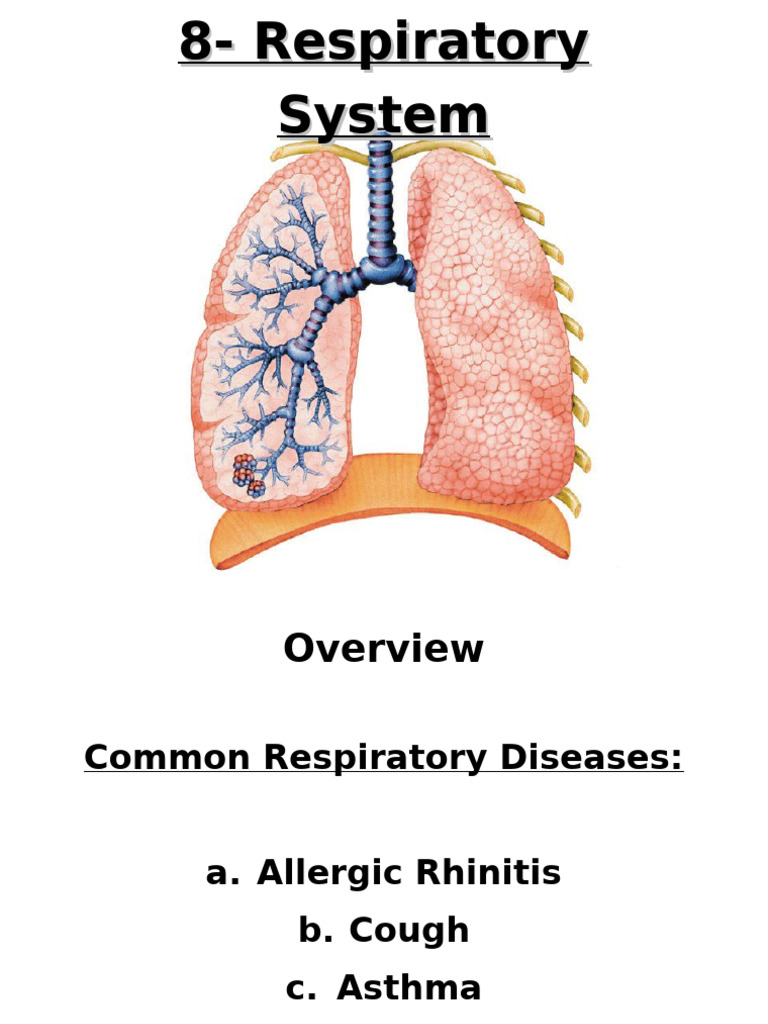 8 Respiratory System 1 - Allergic Rhinitis and Cough1 | PDF