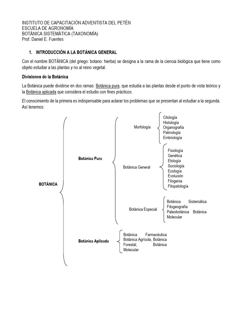 Botanica Sistematica 1 | PDF