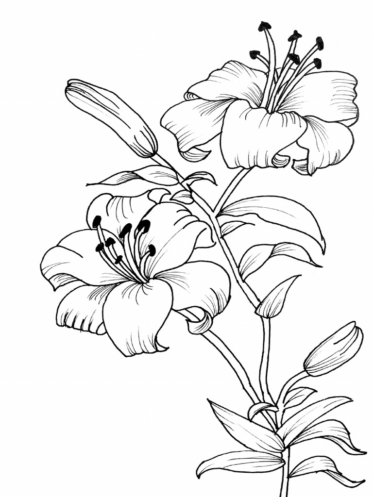 Azucena | PDF