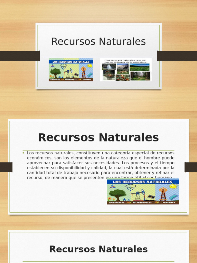 Recursos Naturales | PDF