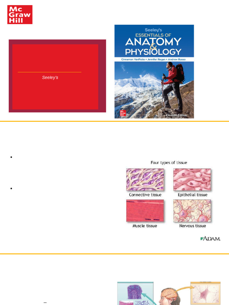 Tissues | PDF