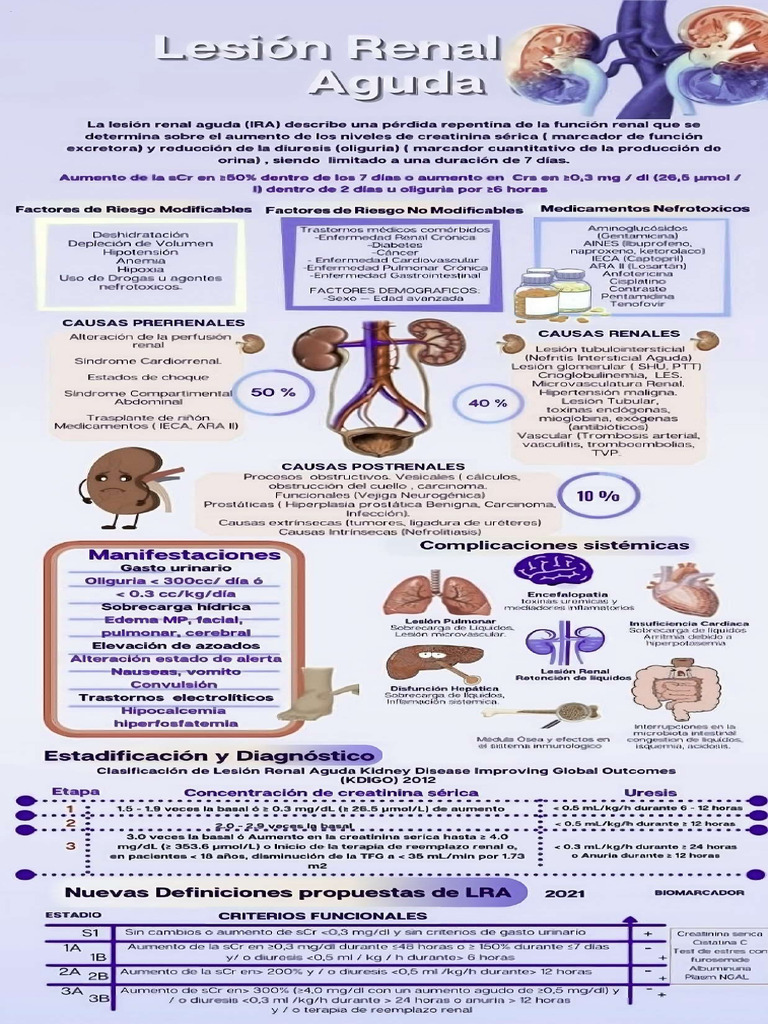 Insuficiencia Renal Aguda | PDF